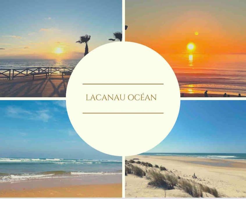 Cosy Studio Avec Vue Sur L'Ocean Lacanau Dış mekan fotoğraf